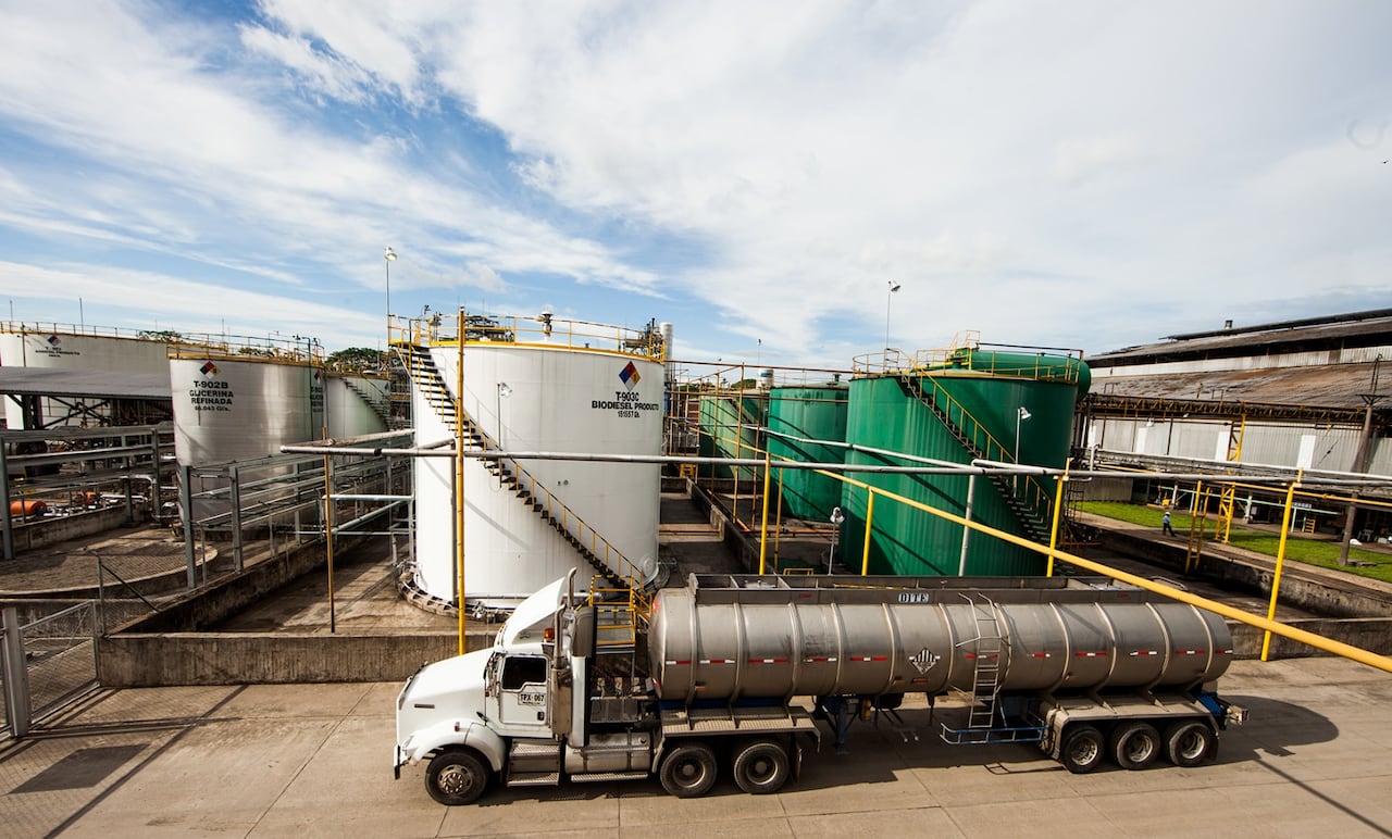 Manuelita recibe certificación internacional ISCC CORSIA para la
producción de combustible sostenible de aviación (SAF): Foto: Manuelita