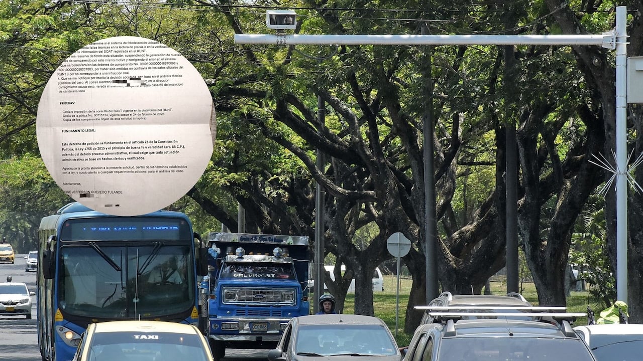 Desde el CDAV explicaron que el proceso está en trámite, con una audiencia programada para noviembre de este año.