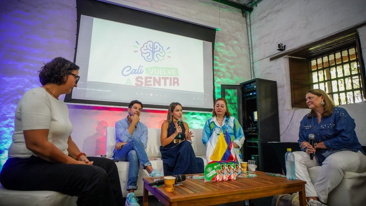 Salud mental, concejo de Cali
