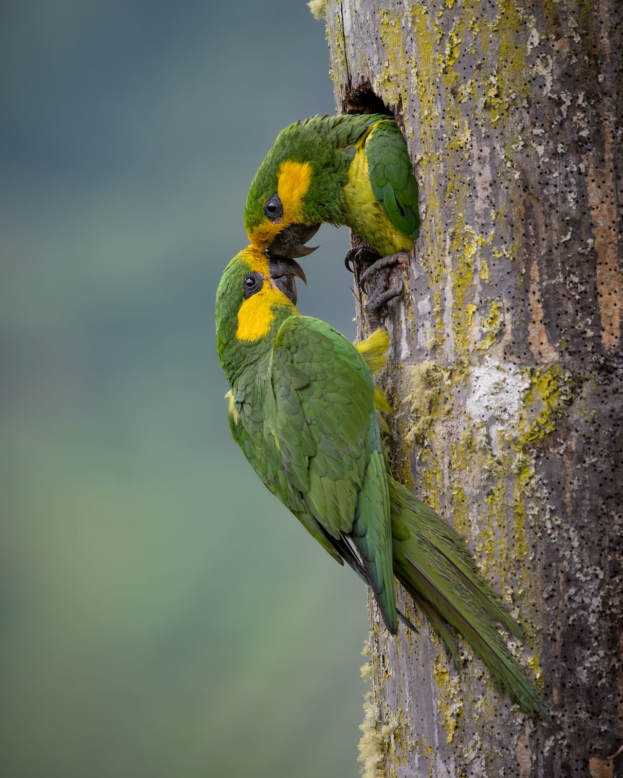 Fotografía de Santiago Giraldo.