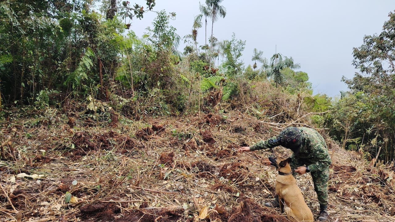 Fueron hallados en el lugar 11 Dispositivos Explosivos improvisados (IED) y 19 artefactos explosivos abandonados (AXO).