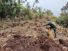 Fueron hallados en el lugar 11 Dispositivos Explosivos improvisados (IED) y 19 artefactos explosivos abandonados (AXO).
