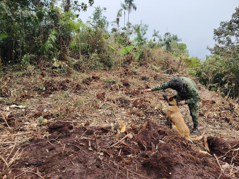 Fueron hallados en el lugar 11 Dispositivos Explosivos improvisados (IED) y 19 artefactos explosivos abandonados (AXO).