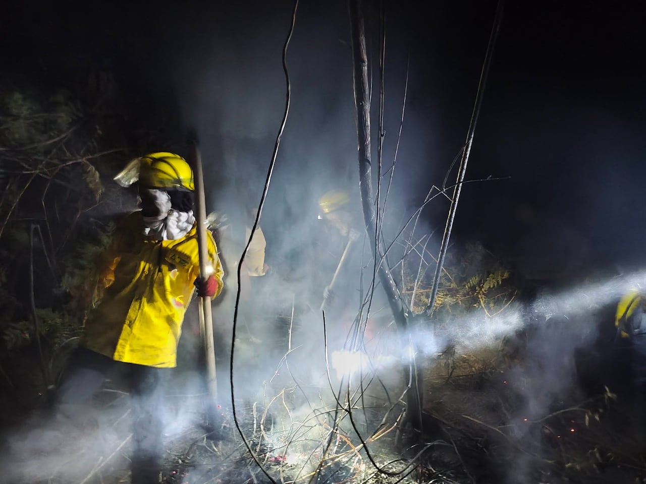 "Rescate entre las cenizas: Bomberos de los municipios de El Tambo y Timbío atendieron el llamado de campesinos para salvar a un oso hormiguero que, tras quedar atrapado en un incendio forestal, sufrió graves quemaduras en su trompa, patas y cola": bomberos Timbío, Cauca.