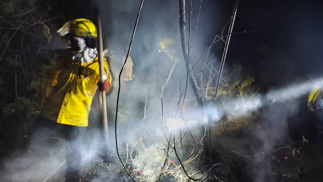 "Rescate entre las cenizas: Bomberos de los municipios de El Tambo y Timbío atendieron el llamado de campesinos para salvar a un oso hormiguero que, tras quedar atrapado en un incendio forestal, sufrió graves quemaduras en su trompa, patas y cola": bomberos Timbío, Cauca.