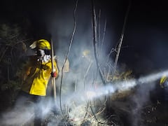 "Rescate entre las cenizas: Bomberos de los municipios de El Tambo y Timbío atendieron el llamado de campesinos para salvar a un oso hormiguero que, tras quedar atrapado en un incendio forestal, sufrió graves quemaduras en su trompa, patas y cola": bomberos Timbío, Cauca.