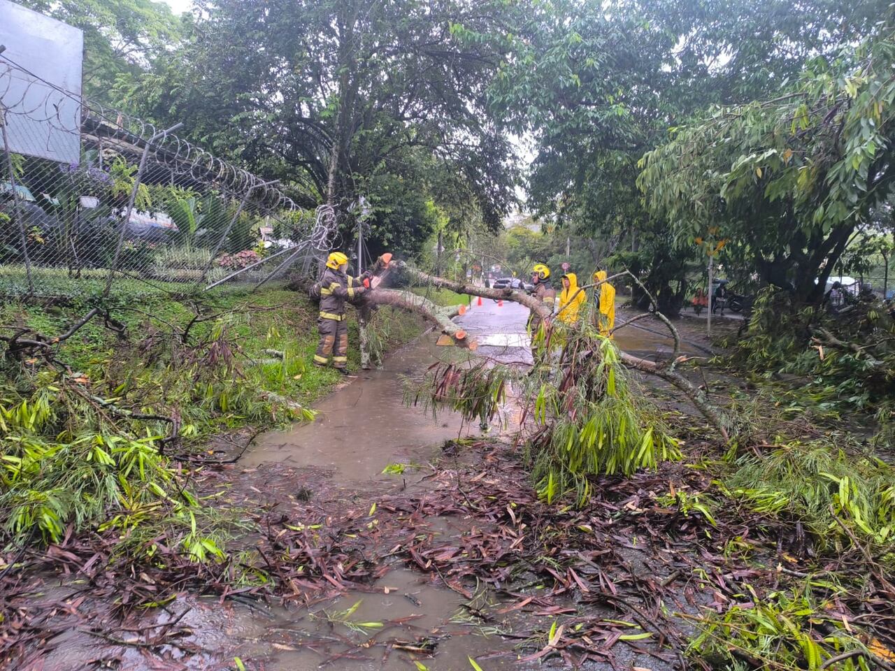 El hecho se registró en el barrio Bella Suiza.