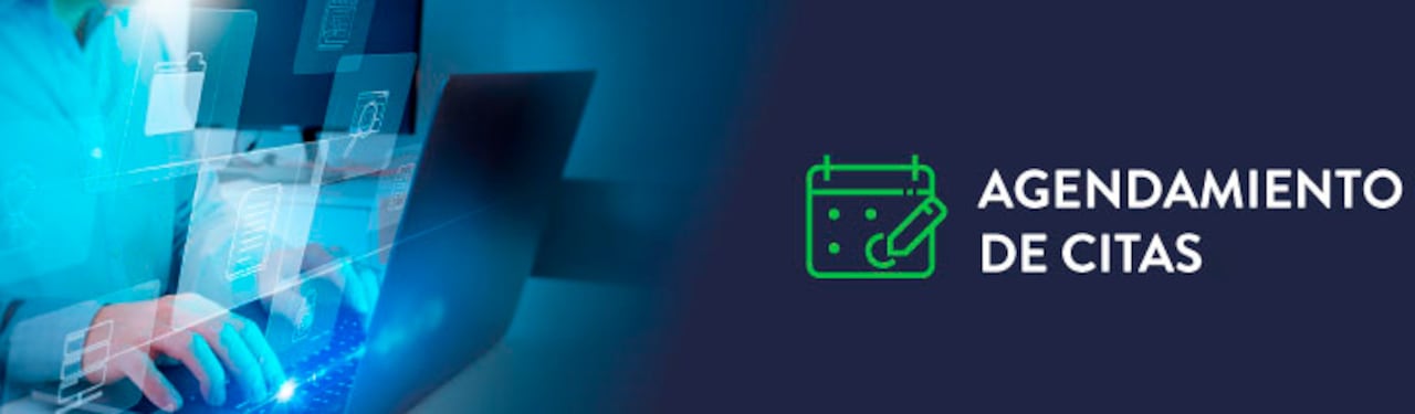 Agendamiento de citas en la Dian