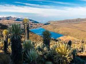 Parque Nacional los Nevados