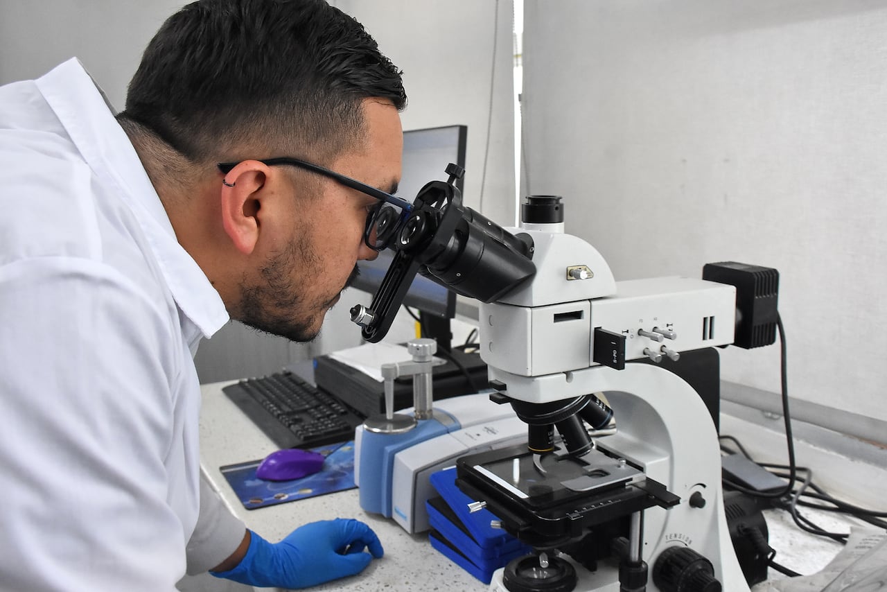 Programa de Bienestar Laboral Comfandi Cementera San Marcos
