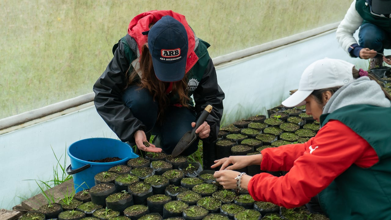 En Porvenir se enfocan en las acciones que aporten a la conservación del medio ambiente. Por eso, la Sembratón es una iniciativa que se ha implementado desde el año pasado.