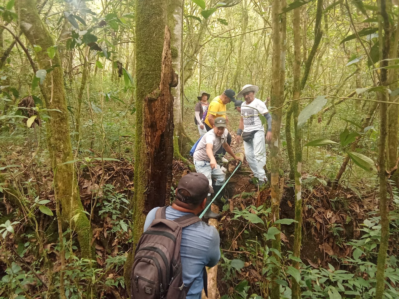 Con esta jornada aprendemos el verdadero Vía Crucis, es tener que sentir lo que vivió nuestro señor durante los 14 momentos de la pasión, muerte y sepultura, pero como hijo de él, entonces lo volvemos vivir entre todos para honrar ese momento, después de que Pilatos lo condenara a cargar la cruz, ese es el significado de esta actividad que cada año adelantamos”, explican estos feligreses al momento de internarse a la zona boscosa para así extraer el pesado madero, uniendo fuerzas para cumplir con ese propósito.