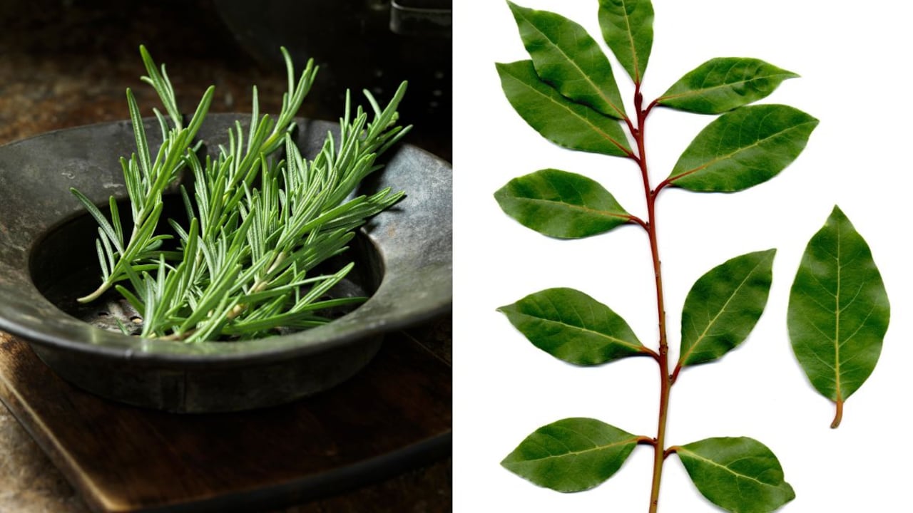 Bañarse con romero y laurel.