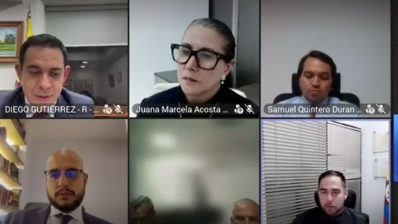 Caso Yulixa Toloza