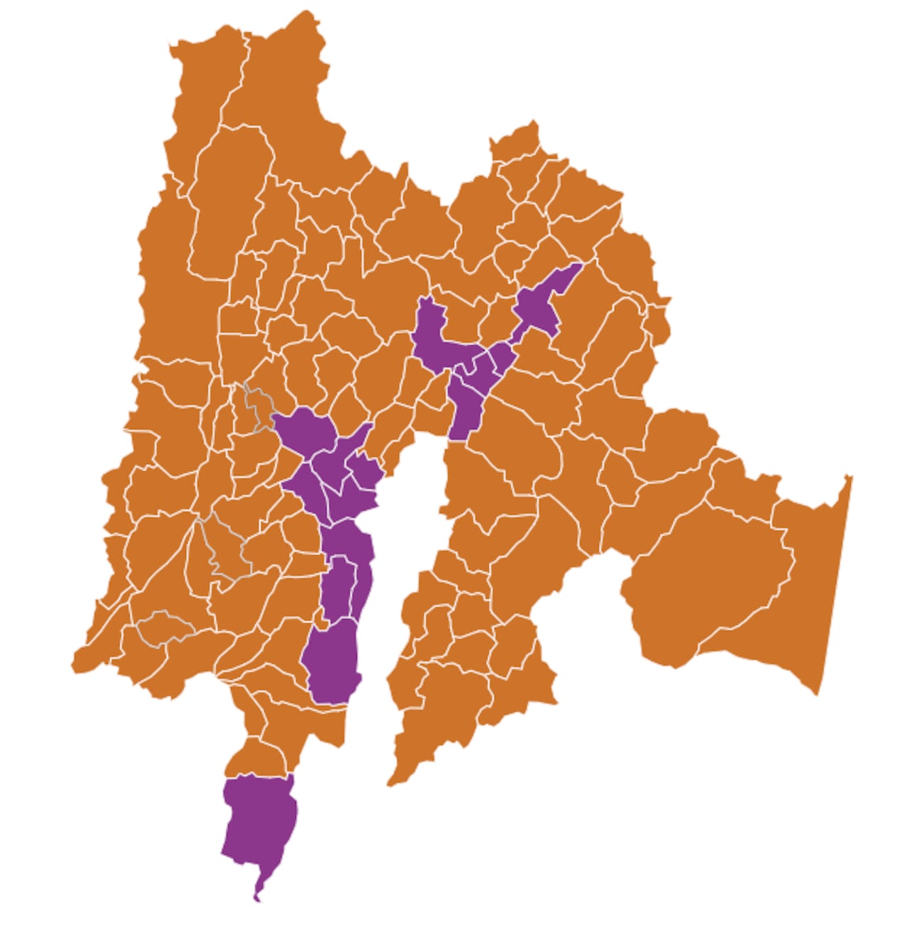 El mapa electoral muestra la distribución del voto por departamento en la primera vuelta presidencial.