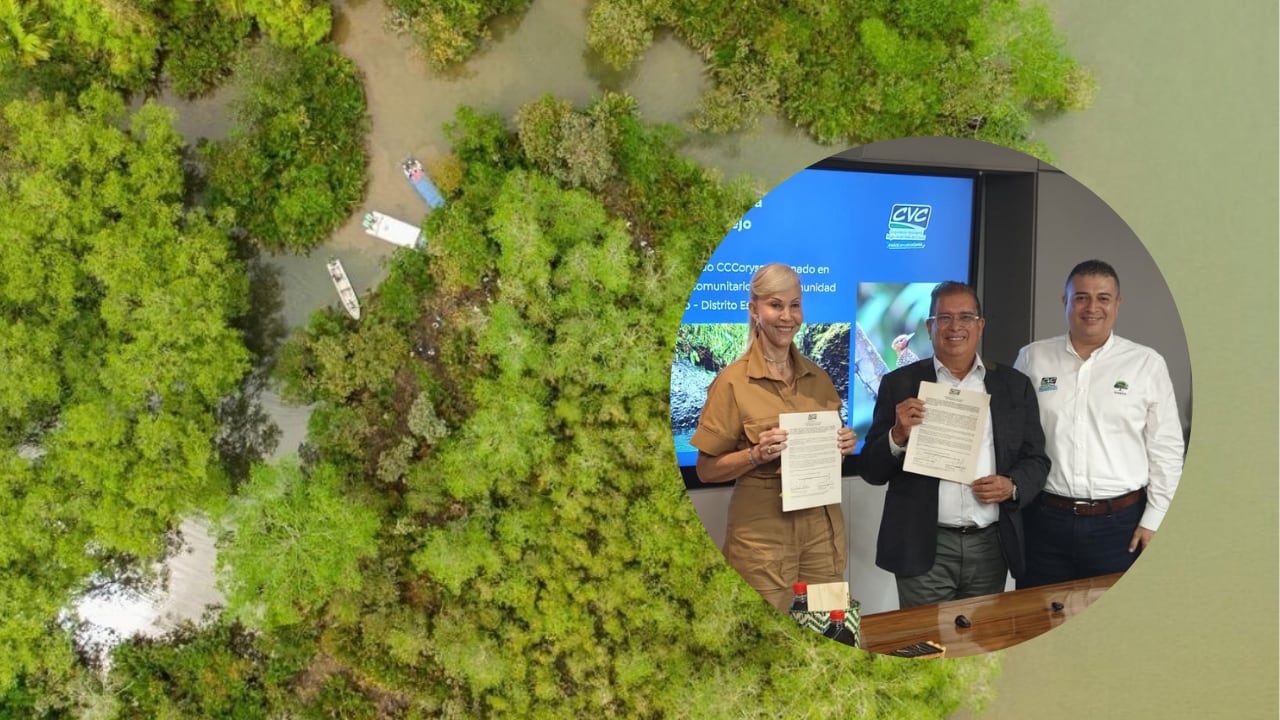 El nuevo Distrito de Conservación abarca 1.882 hectáreas entre Bugalagrande, Andalucía y Tuluá para la protección hídrica y la amortiguación de crecientes.