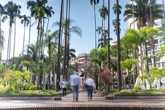 Alcaldía de Cali, en alianza con ONU-Hábitat, lanza encuesta para medir calidad de vida de los ciudadanos.