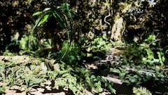 Exposición 'Vértigo y atracción', de Miguel Escobar, en el Museo La Tertulia.