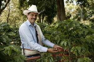 JUAN VALDEZ. SANTANDER
SEPTIEMBRE DE 2006
FOTO: FEDERACION DE CAFETEROS - PATRICIA RINCON