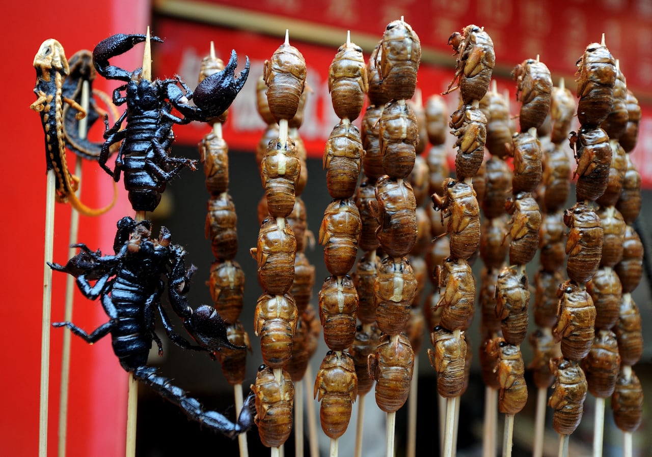 (FILES) Lizards, scorpions and bugs available to adventurous eaters at a food stall in the Wangfujing shopping street of Beijing on January 17, 2012. Beetles, caterpillars and wasps could supplement diets around the world as an environmentally friendly food source if only Western consumers could get over their "disgust", the UN's Food and Agriculture Organisation (FAO) said on May 13, 2013. "The main message is really: 'Eat insects'", Eva Mueller, director of forest economics at the FAO, told a press conference in Rome. AFP PHOTO / Mark RALSTON (Photo by MARK RALSTON / AFP)