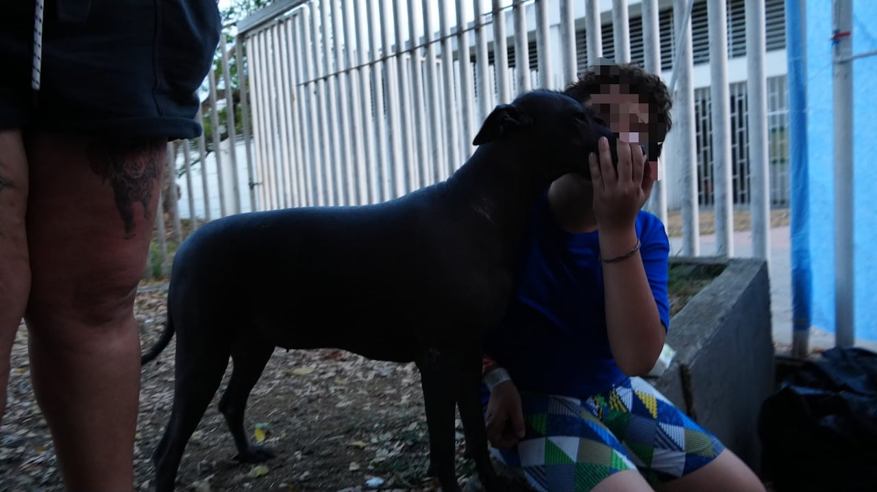 La historia de una familia que se refugia en el Coliseo de Hockey en Cali.