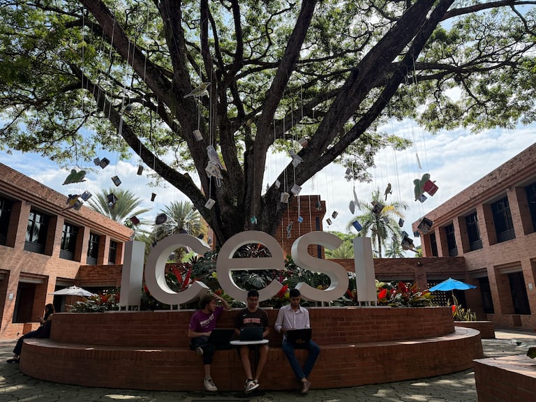 Festival gratuito en Cali reunirá 80 voces para debatir el futuro social