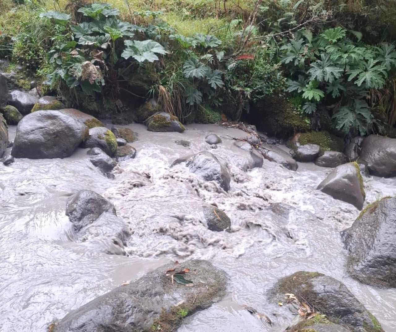 Mientras tanto, el SGC solicitó a las comunidades no acercarse a los cráteres de los volcanes Puracé, Piocollo y Curiquinga, explicó que la actividad es monitoreada las 24 horas y anunció que emitirá boletines diarios mientras se mantenga la alerta naranja.