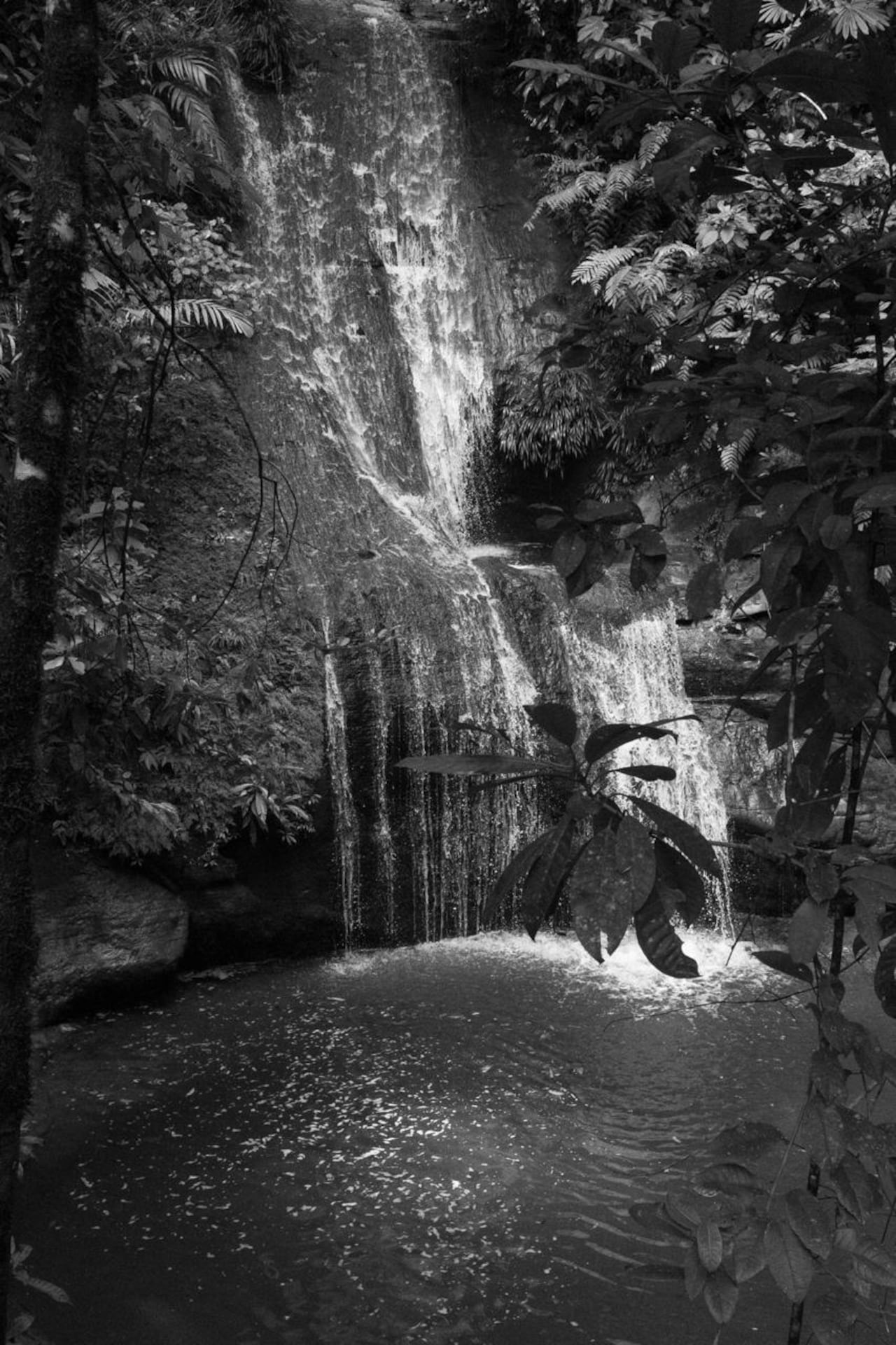 El agua como eje de la vida, transformadora del paisaje y protagonista de una experiencia visual que invita a la contemplación es la propuesta de las series fotográficas “El Camino del Agua, Páramo y Pacífico” de la artista caleña Marcela Bellini, que se presentará en CaliLee - Festival Internacional del Libro de Cali 2026, el próximo 2 de noviembre, a las 4:00 p. m., en el Auditorio TQ. El encuentro será presentado por Nur Cure.