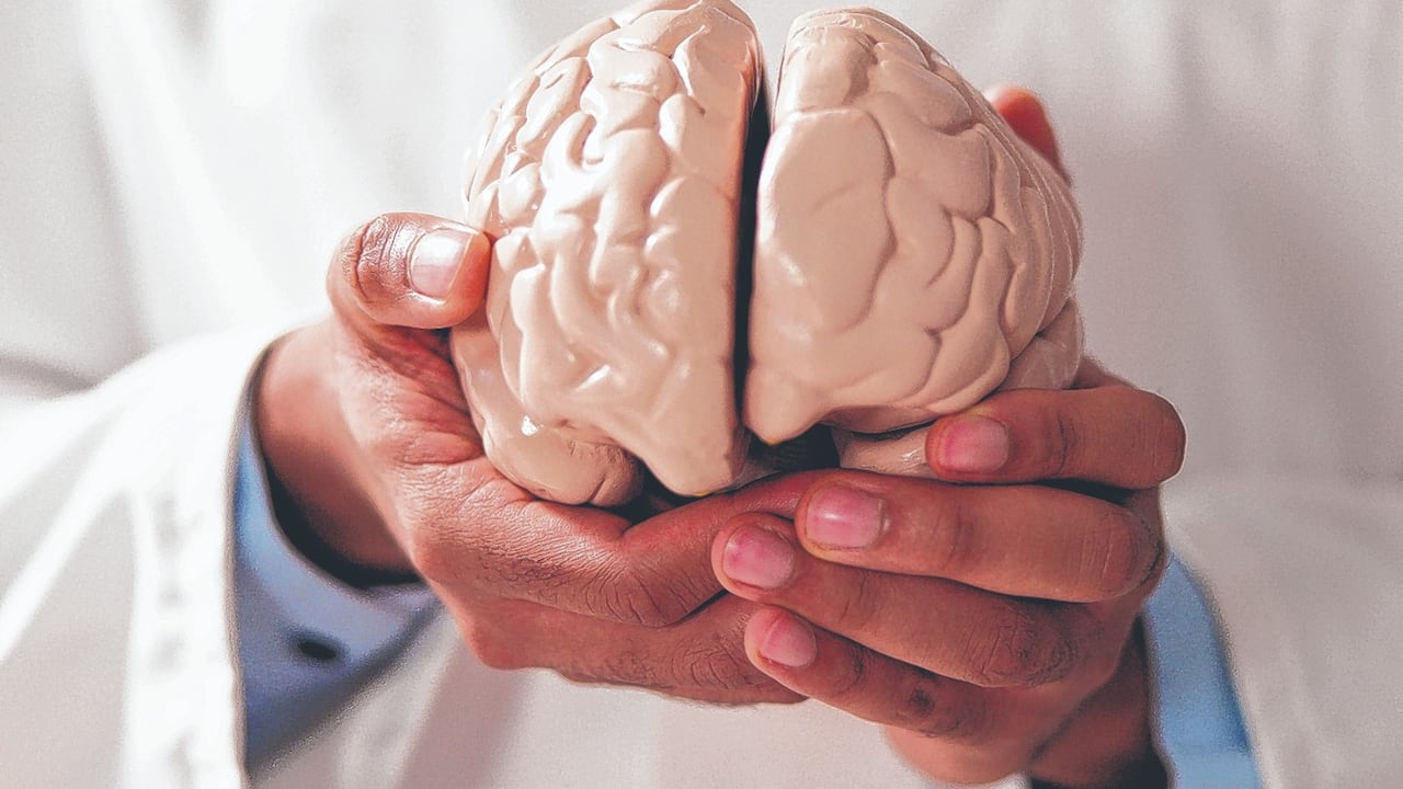 La epilepsia está relacionada con múltiples causas. Puede haber razones estructurales, es decir, lesiones en el cerebro que como manifestación producen una crisis epiléptica.