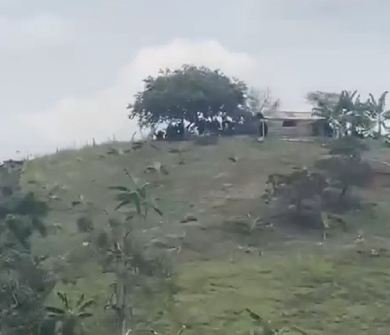 Los integrantes de la Policía y del Ejército buscan sacar a las comunidades indígenas que, desde aproximadamente cuatro años, permanecen de forma ilegal en este predio ilegal.