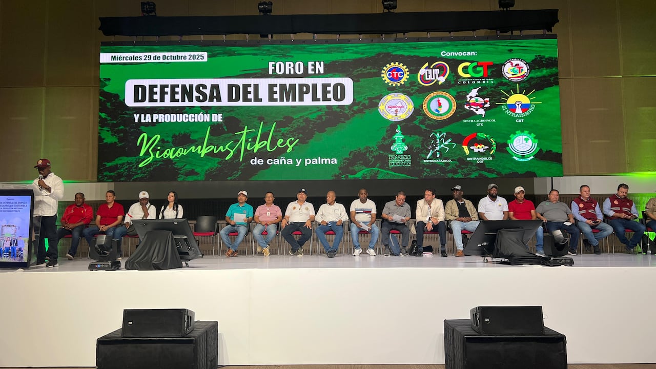 La nueva fórmula propone usar el Precio Paridad (PP) de los biocombustibles en mercados como Estados Unidos y Europa, ajustado por costos logísticos y arancelarios.