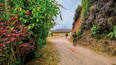 En Briceño, Yarumal y otras 16 zonas de Antioquia, hay restricciones de movilidad, asesinatos selectivos e impedimentos para abrir comercios después de las 6 p. m.
