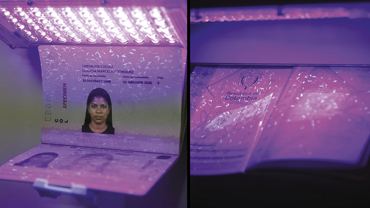 Según el análisis, habría falencias en las hojas del documento y en otros elementos de seguridad.