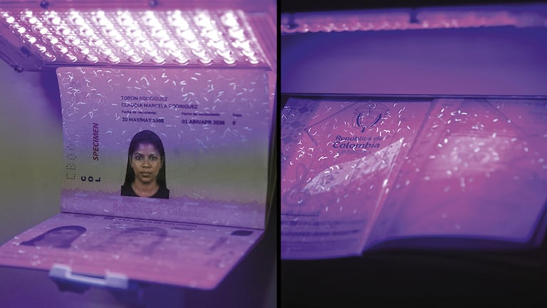 Según el análisis, habría falencias en las hojas del documento y en otros elementos de seguridad.