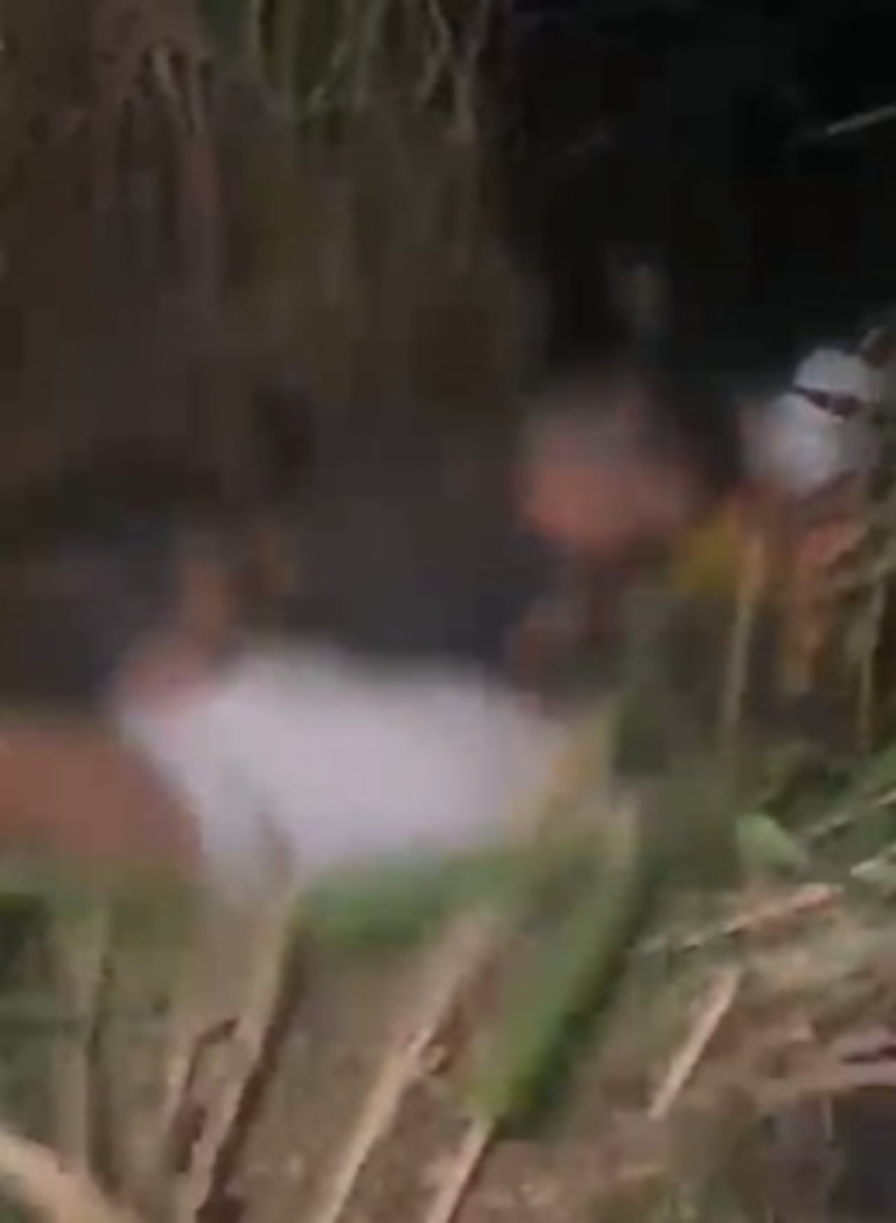Tras la intervención de los uniformados, el joven fue entregado a sus familiares y trasladado a un centro asistencial para recibir atención médica y acompañamiento psicológico especializado.