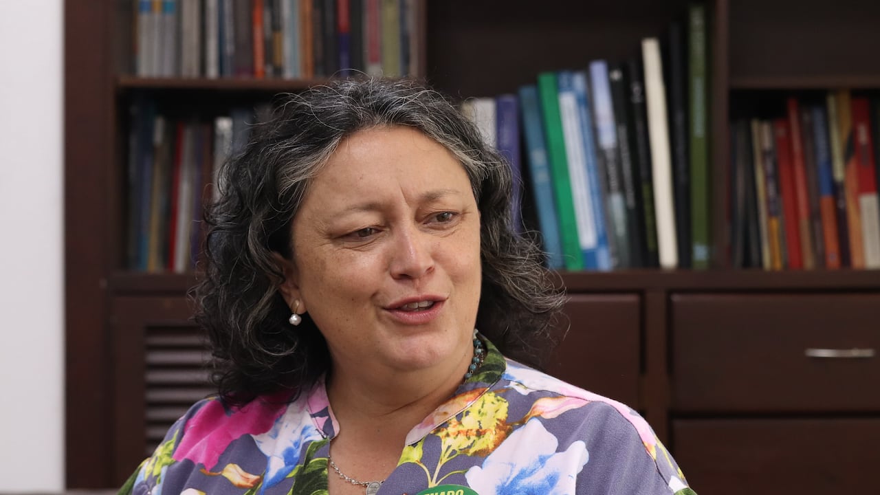 Angélica Lozano senadora y candidata al senado.