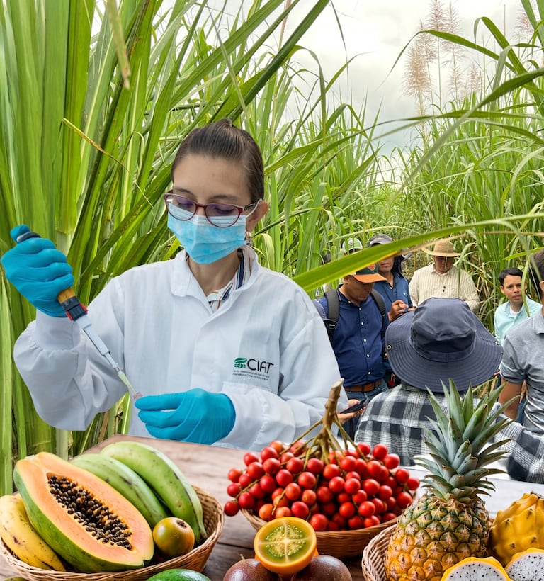 Agroindustria, motor de desarrollo y competitividad para el Valle del Cauca.