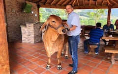 El Ñeñe Hernández