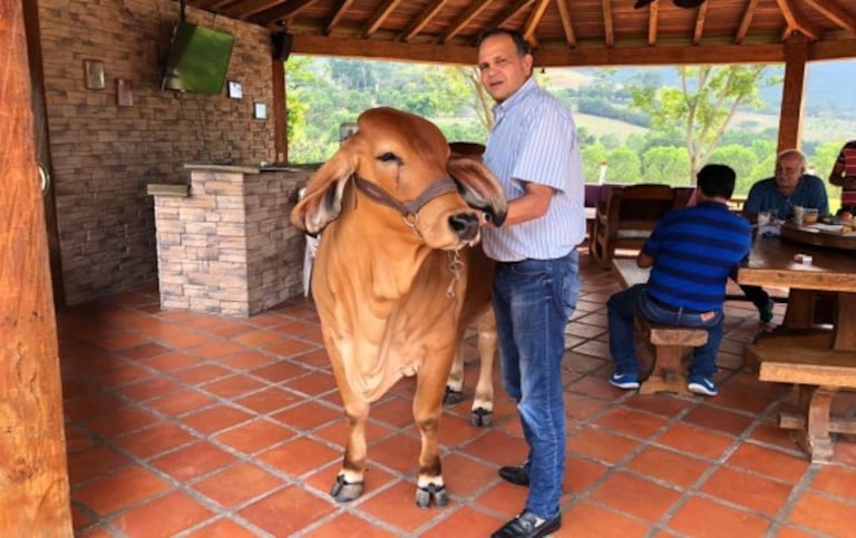 El Ñeñe Hernández