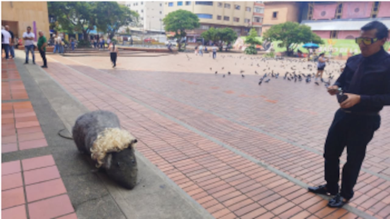 Gobernación del Valle rechazó el abandono de objeto simbólico a las afueras de la sede de la administración departamental.