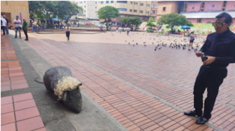 Gobernación del Valle rechazó el abandono de objeto simbólico a las afueras de la sede de la administración departamental.