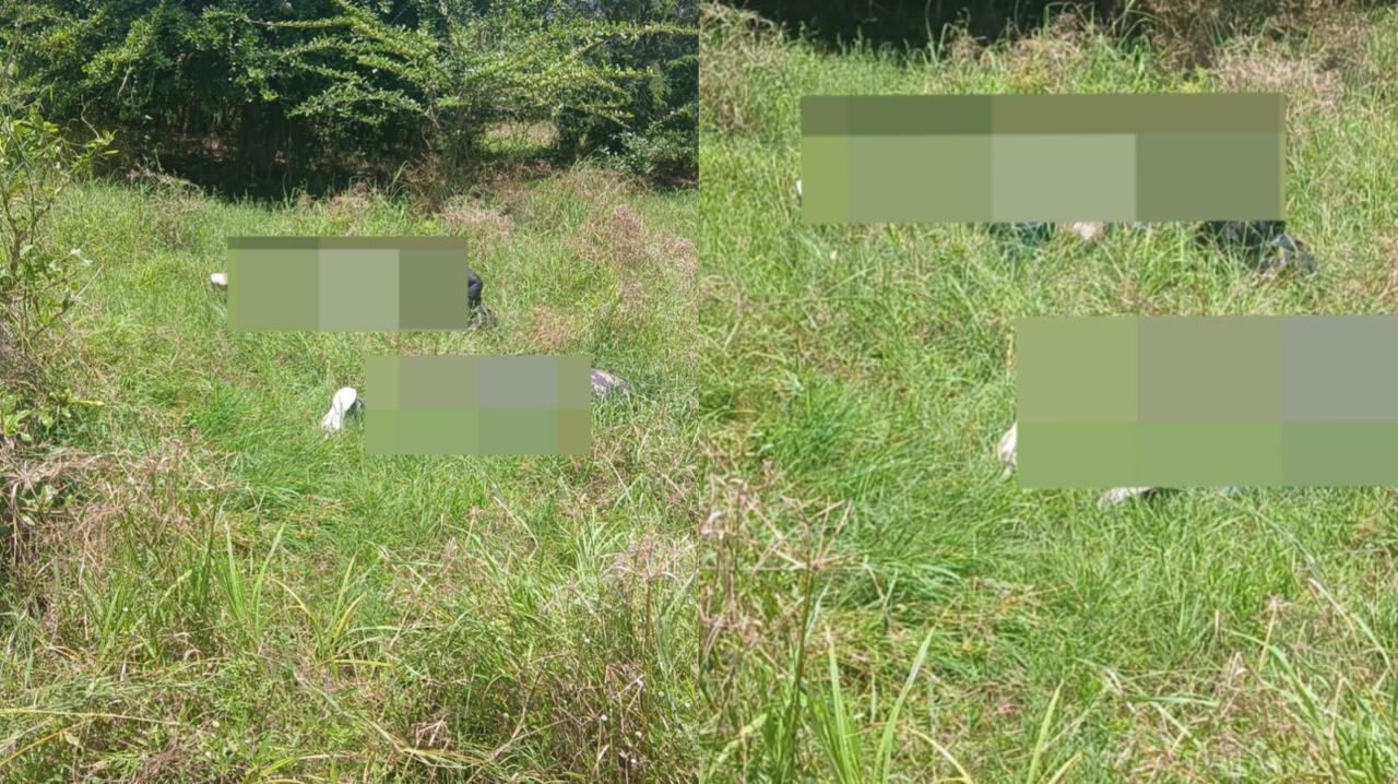 Masacre en Bolívar.