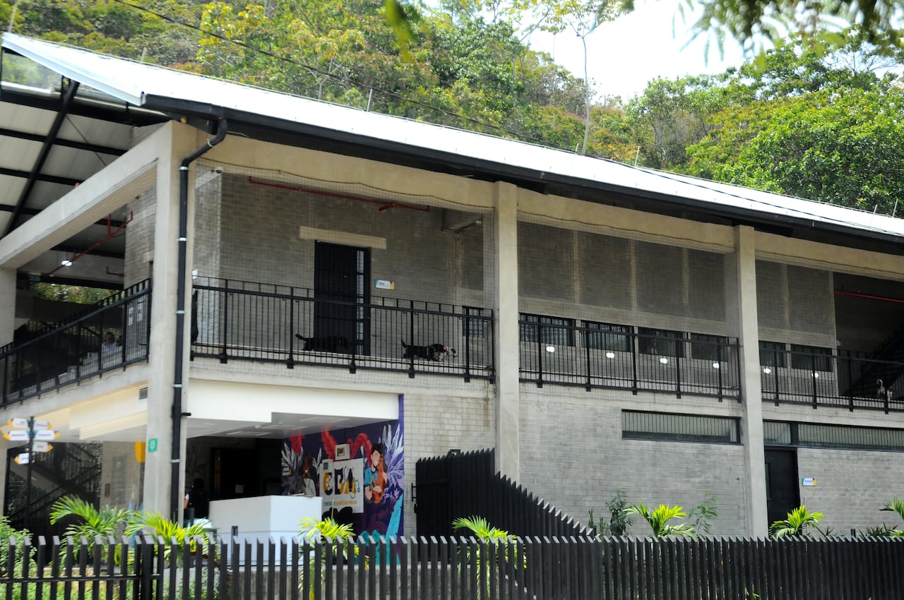 Cali: Denuncia de vecinos por maltrato a los animales en el interior del Centro de Bienestar Animal en la ciudad de Cali. foto José L Guzmán. EL Paí