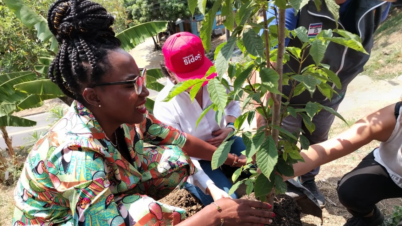 Durante la restauración del espacio público, también se hizo la siembra de un Guayacán solicitado por la comunidad.