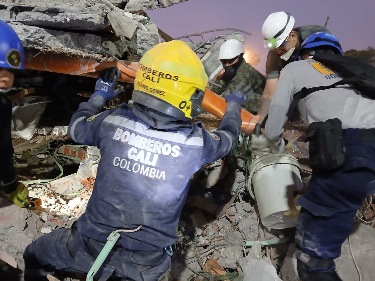 Las unidades de rescate han podido salvar a varios perros entre los escombros.