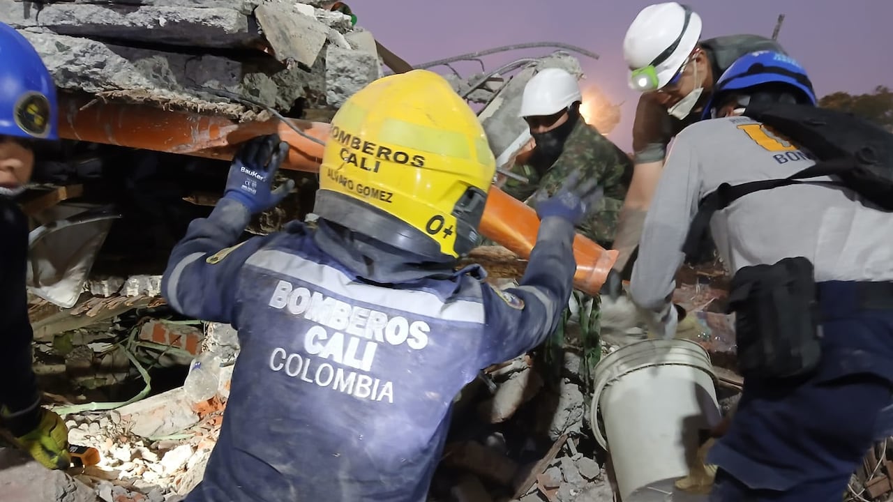 Las unidades de rescate han podido salvar a varios perros entre los escombros.