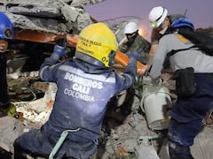 Las unidades de rescate han podido salvar a varios perros entre los escombros.