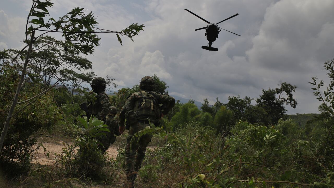Los departamentos de Cauca, Nariño, Putumayo y Norte de Santander son las regiones del país en las que actualmente hay más cultivos de hoja de coca sembrados.