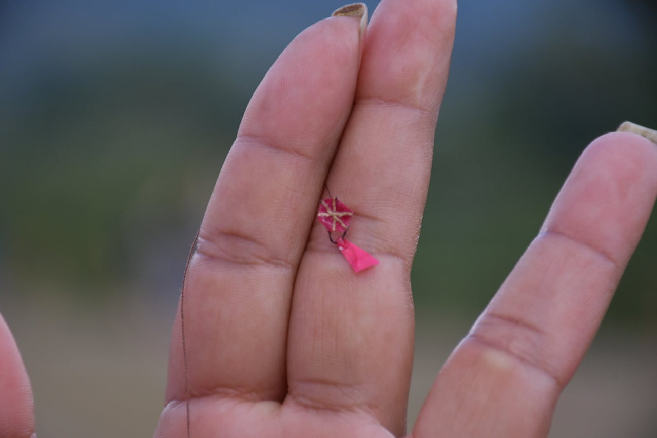 Festival departamental de cometas "paraíso de todos". Este festival se realiza en el municipio de cerrito en la hacienda el paraíso.