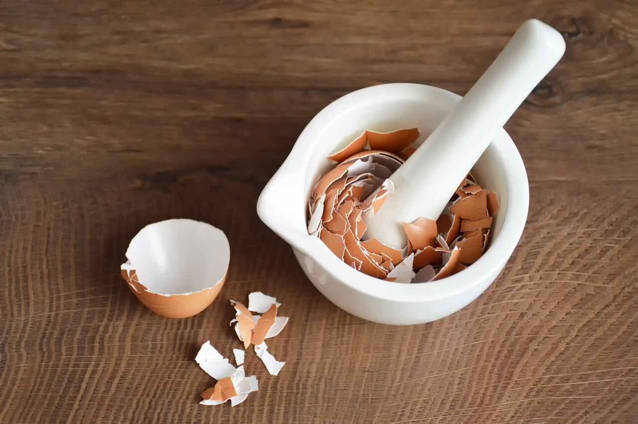 Desde la recomendación de triturar cuidadosamente hasta la consideración de alternativas más seguras, la inclusión de cáscaras en la dieta se convierte en un terreno a explorar con cautela.